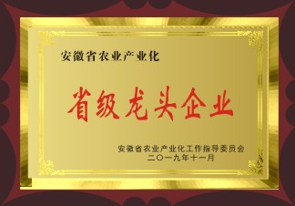 省級龍頭企業(yè)
