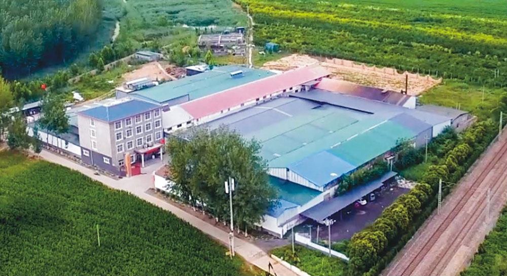 成長歷程 成長歷程